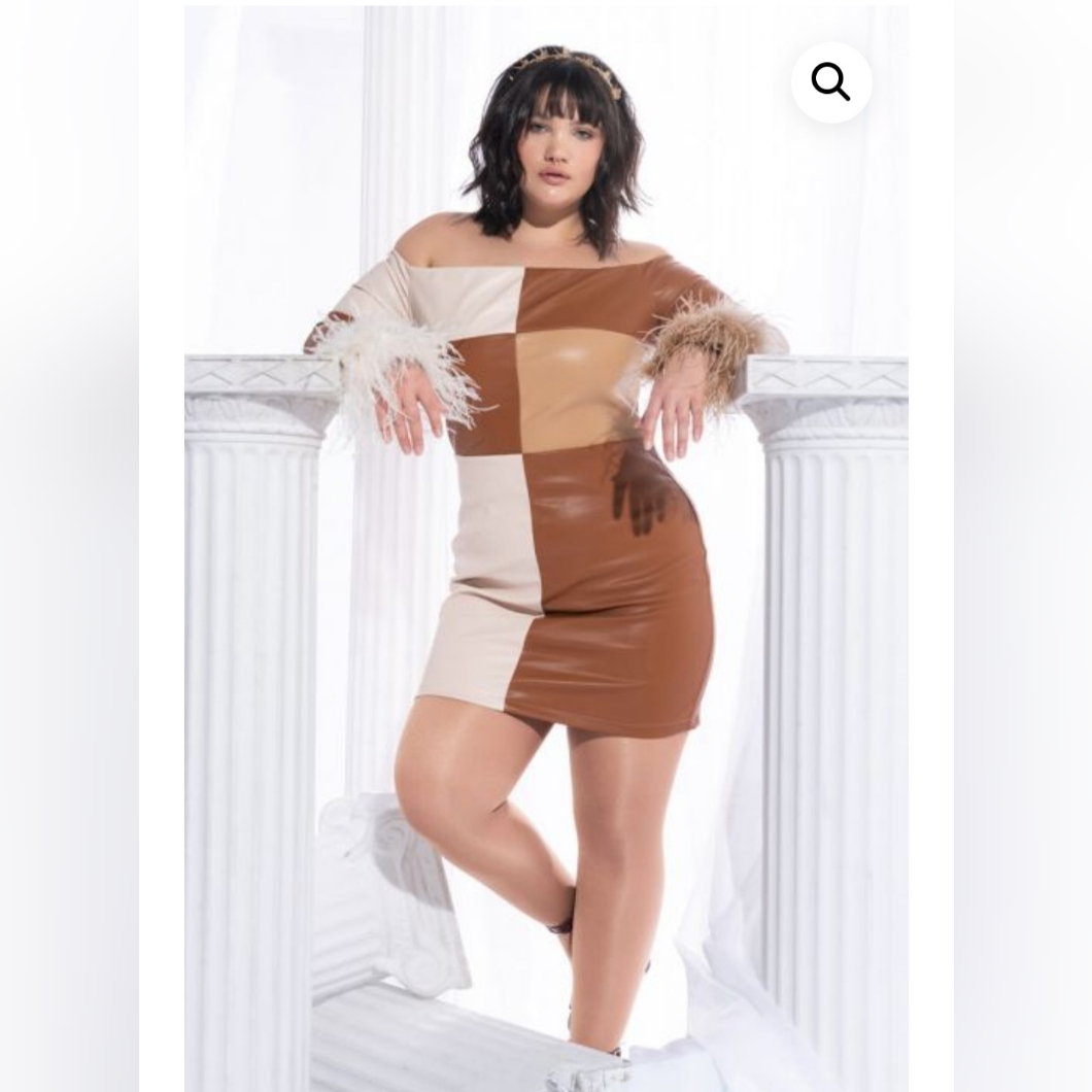 Women's Plus Size Mini Dress